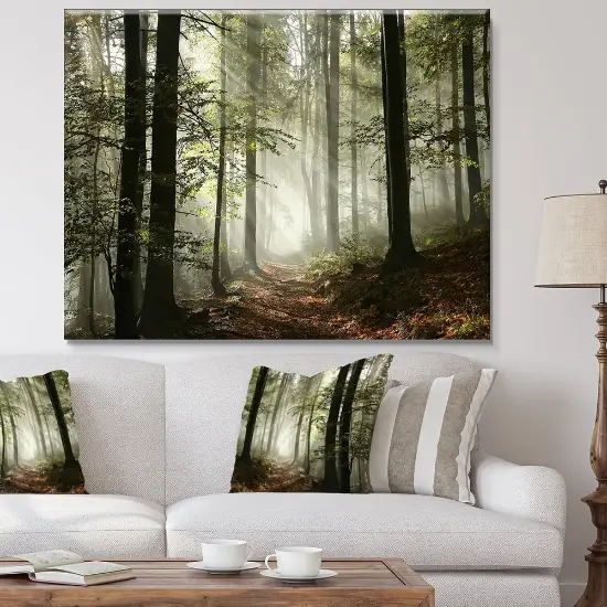 Designart 'Light in Dense Fall Forest with Fog' Landscape Canvas Art Print