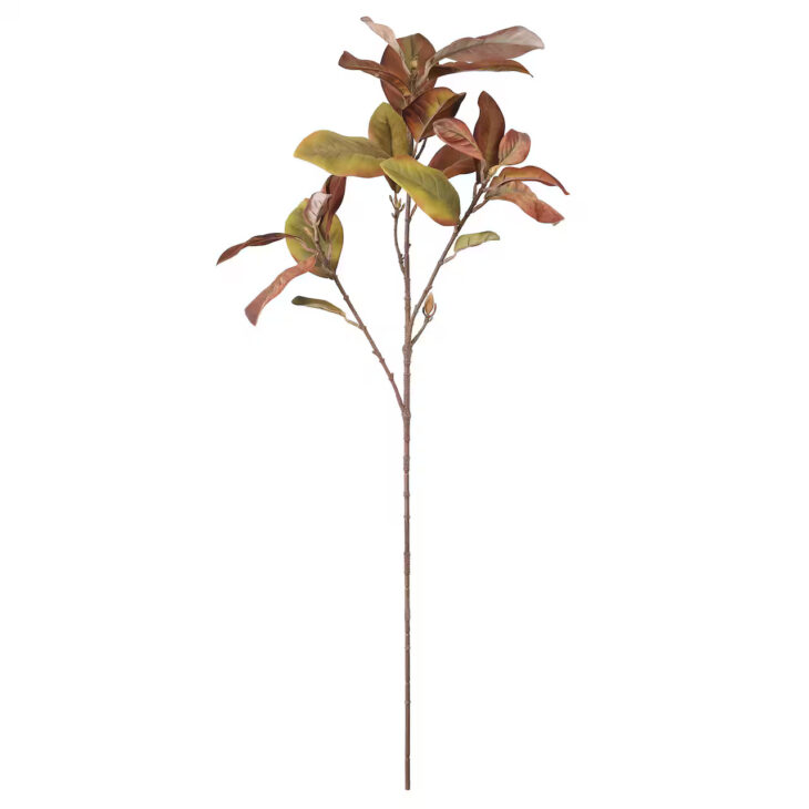 fall eucalyptus stems