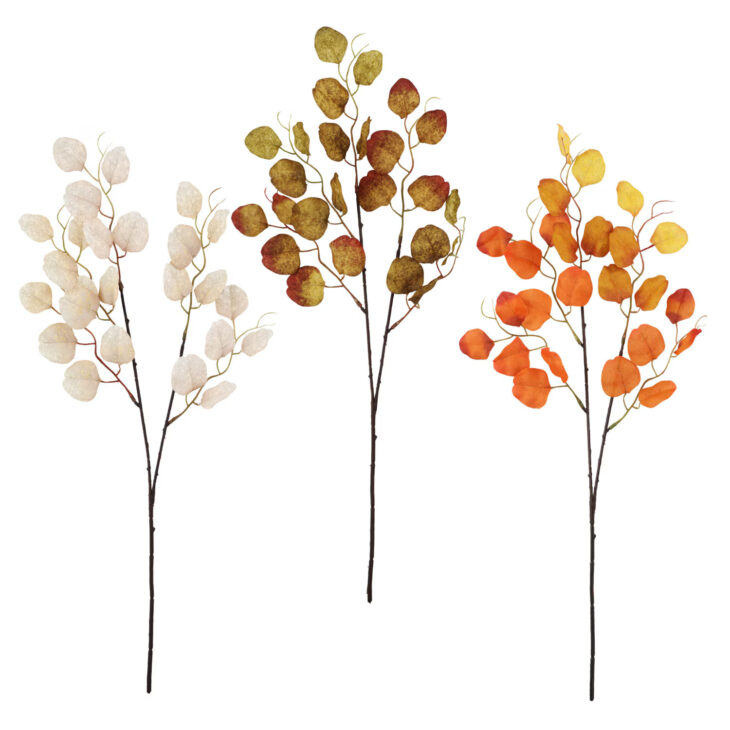 fall florals - silver dollars