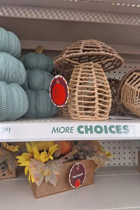 dollar tree rattan mushroom decor